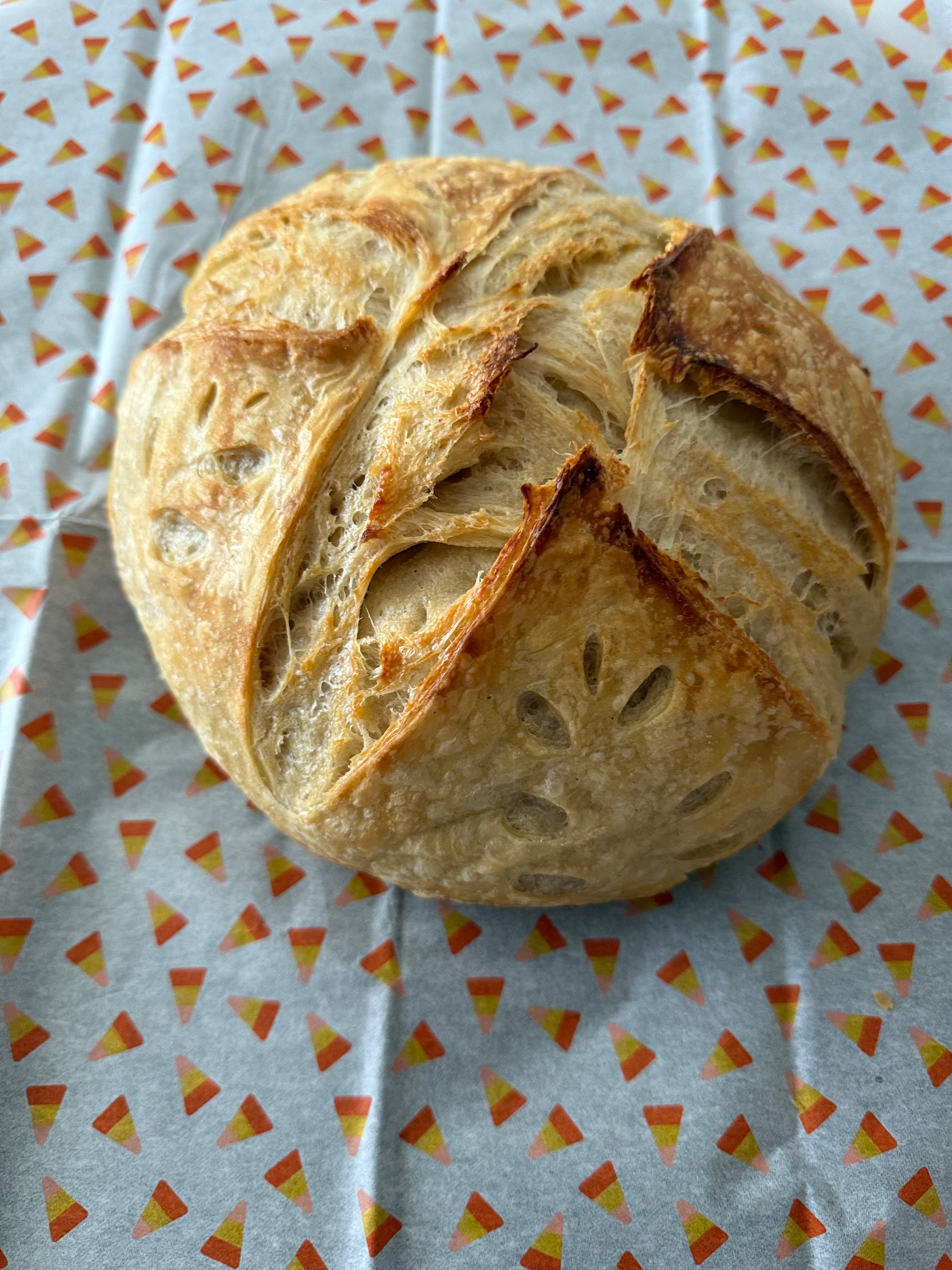 Sourdough Loaf